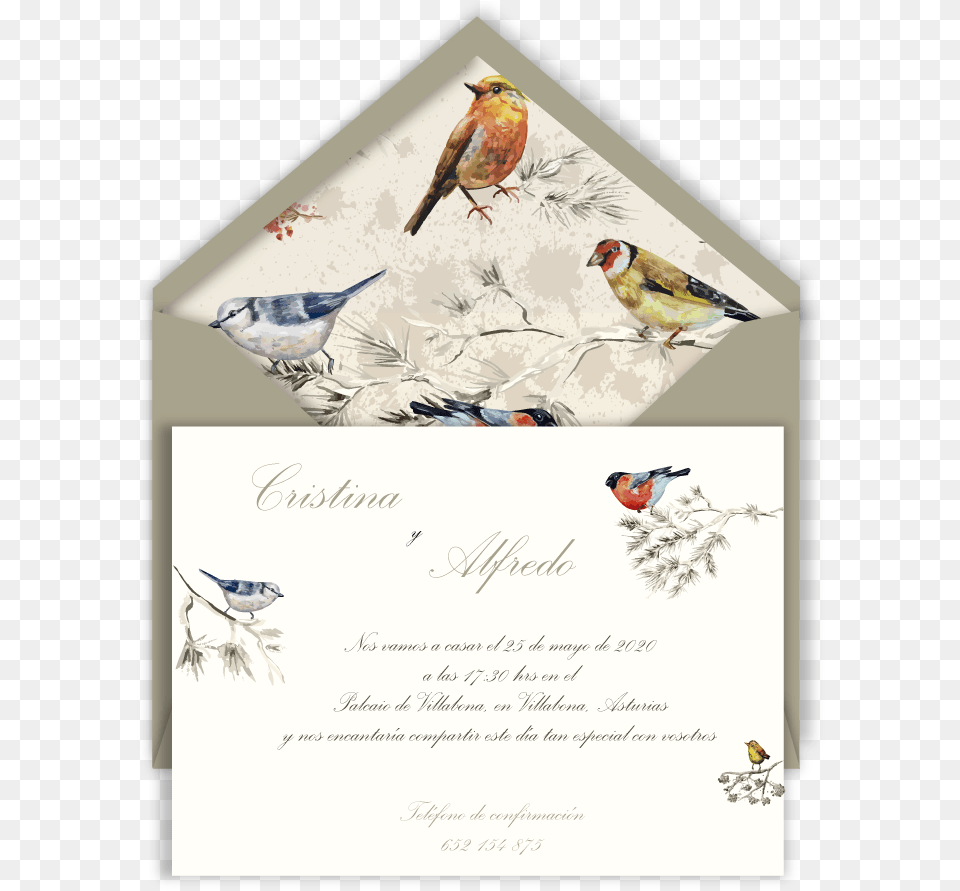 Inv Pajaritos Sb Arena Bird Painting On Wall, Envelope, Greeting Card, Mail, Animal Free Png Download