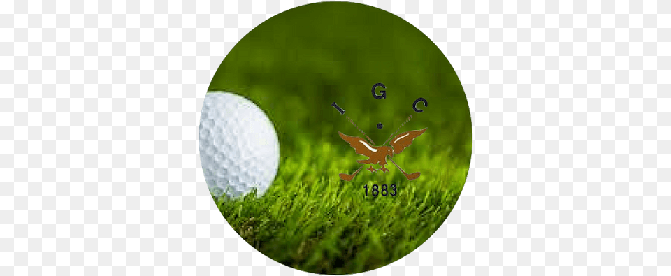Inverness Golf Club Poster Golf Ball On Green Grass, Golf Ball, Sport, Disk Png