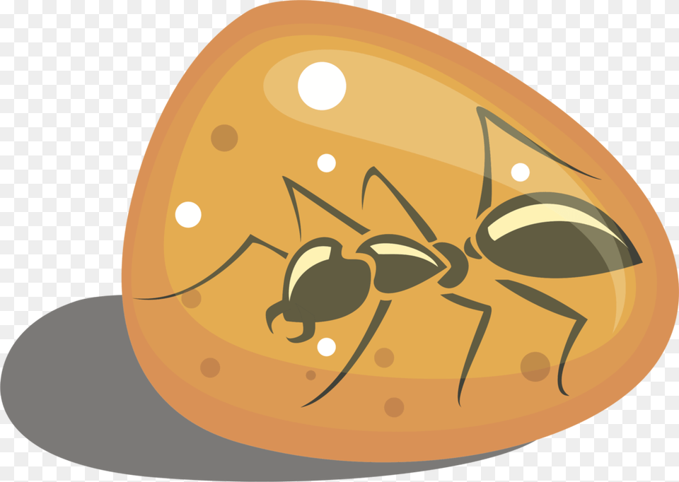 Invertebratefoodfruit Bug In Amber Clip Art, Animal, Ant, Insect, Invertebrate Free Png