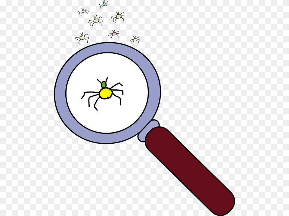 Investigate Clipart, Magnifying, Animal, Insect, Invertebrate Free Png Download