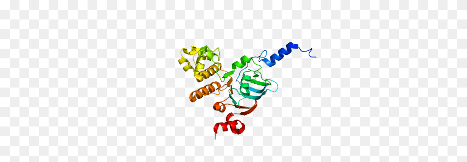 Investigating The Function Of A Transport Protein Where Is, Animal, Bee, Insect, Invertebrate Png Image