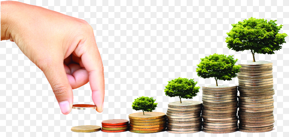 Investing Image Fuentes Financiamiento A Corto Plazo, Plant, Baby, Person, Potted Plant Png