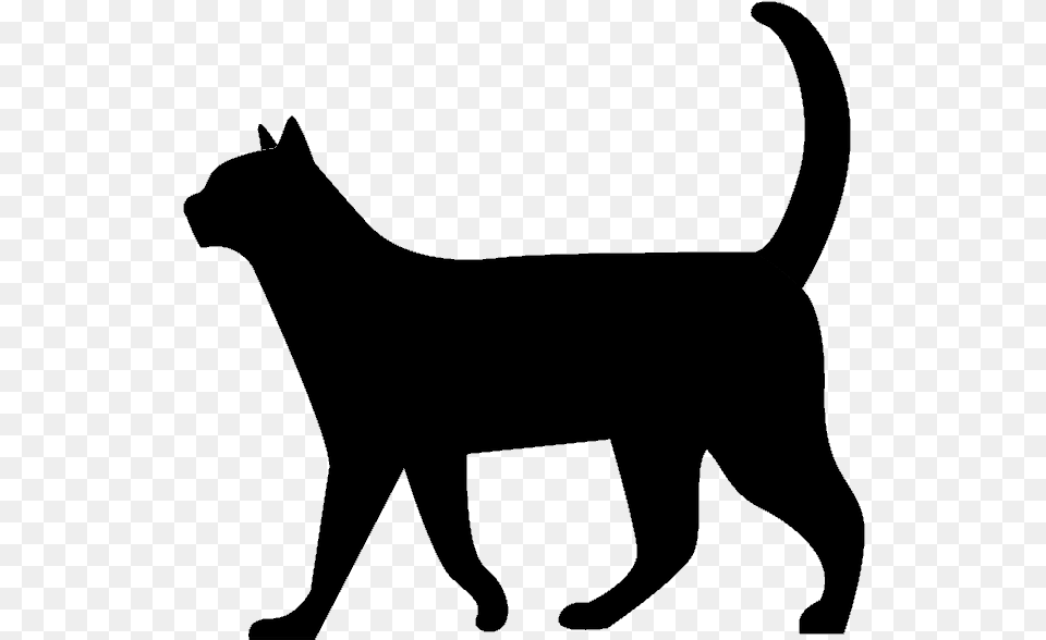 Invisible Lioness Black Cat Silhouette Walking, Stencil, Animal, Pet Png