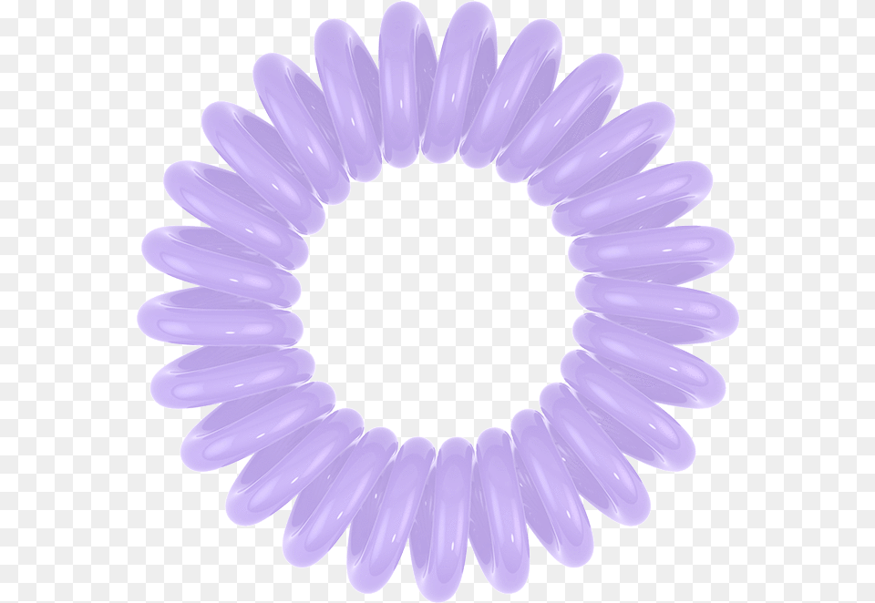 Invisibobble Scented Original In Macaron Mayhem Invisibobble Got To Glow, Daisy, Flower, Plant, Purple Free Transparent Png