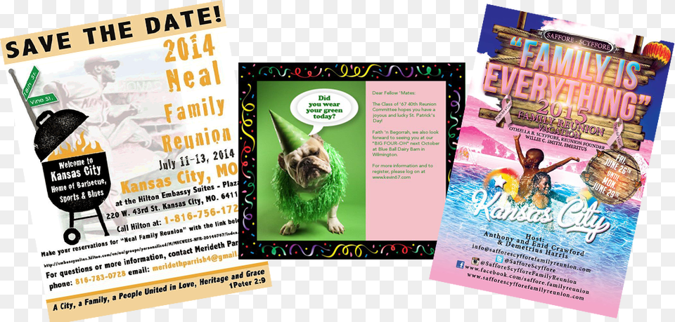 Invitescover Flyer, Advertisement, Poster, Person, Animal Free Png Download