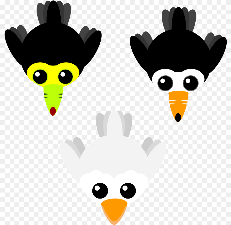 Io Bird Skins, Animal, Beak Free Transparent Png