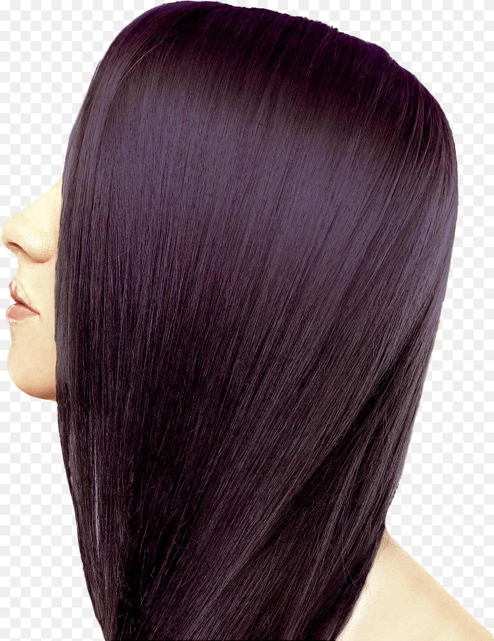 Ion Midnight Violet Black, Adult, Black Hair, Female, Hair Png