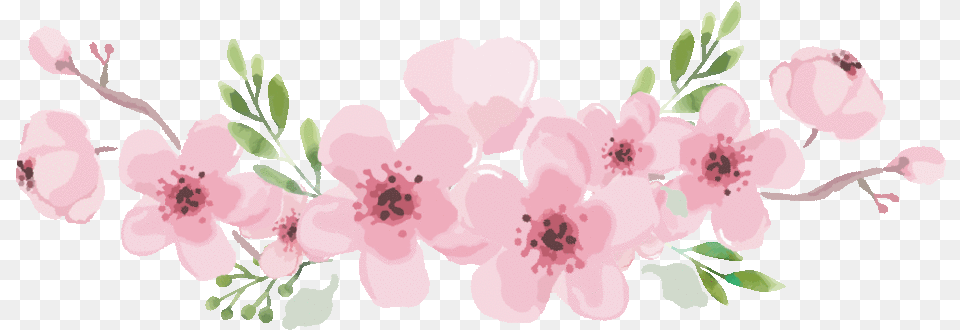 Ios Animated Flowers Cherry Blossom Gif, Flower, Plant, Cherry Blossom, Animal Free Png