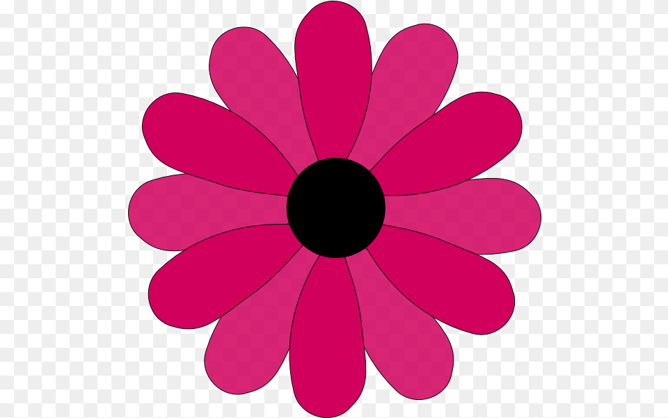 Ios Gallery Icon Clip Art Library 12 Petal Flower Svg, Daisy, Plant, Anemone, Dahlia Png