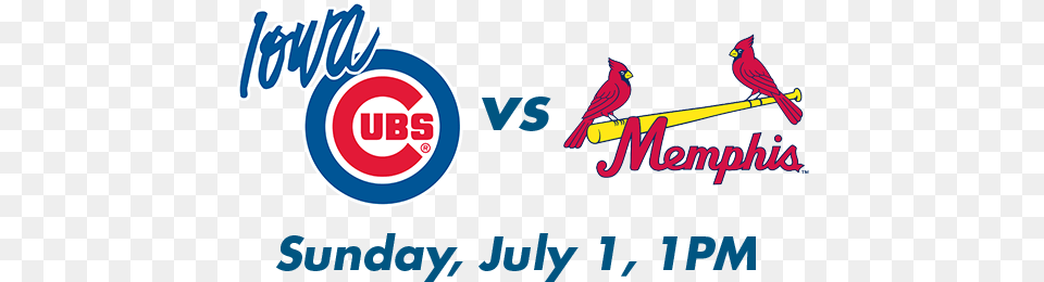 Iowa Cubs Vs Iowa Cubs, Animal, Bird, Cardinal Free Png