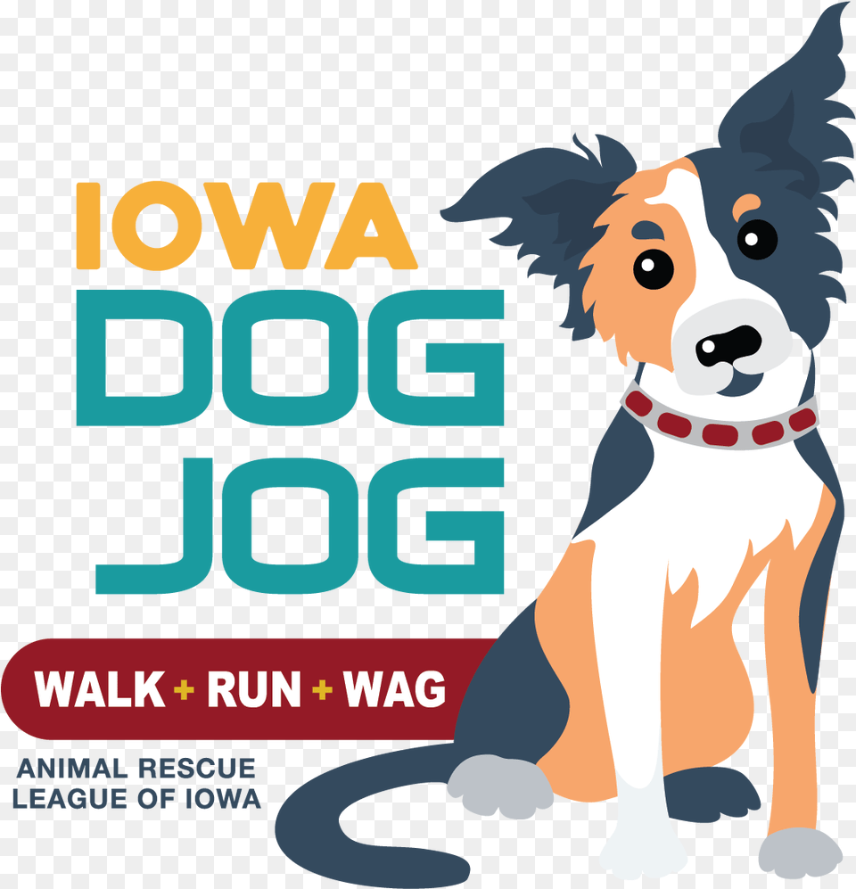 Iowa Dog Jog Run With Dogs 5k, Advertisement, Poster, Animal, Bear Png