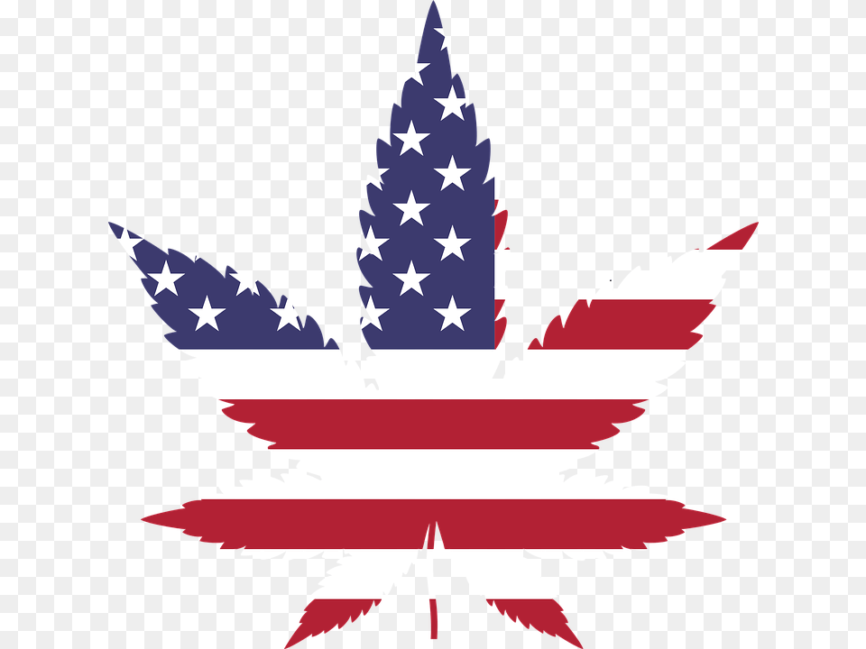 Iowa States Unconstitutional Attempt To Ban Marijuana Shirts Will, Leaf, Plant, Animal, Fish Png Image