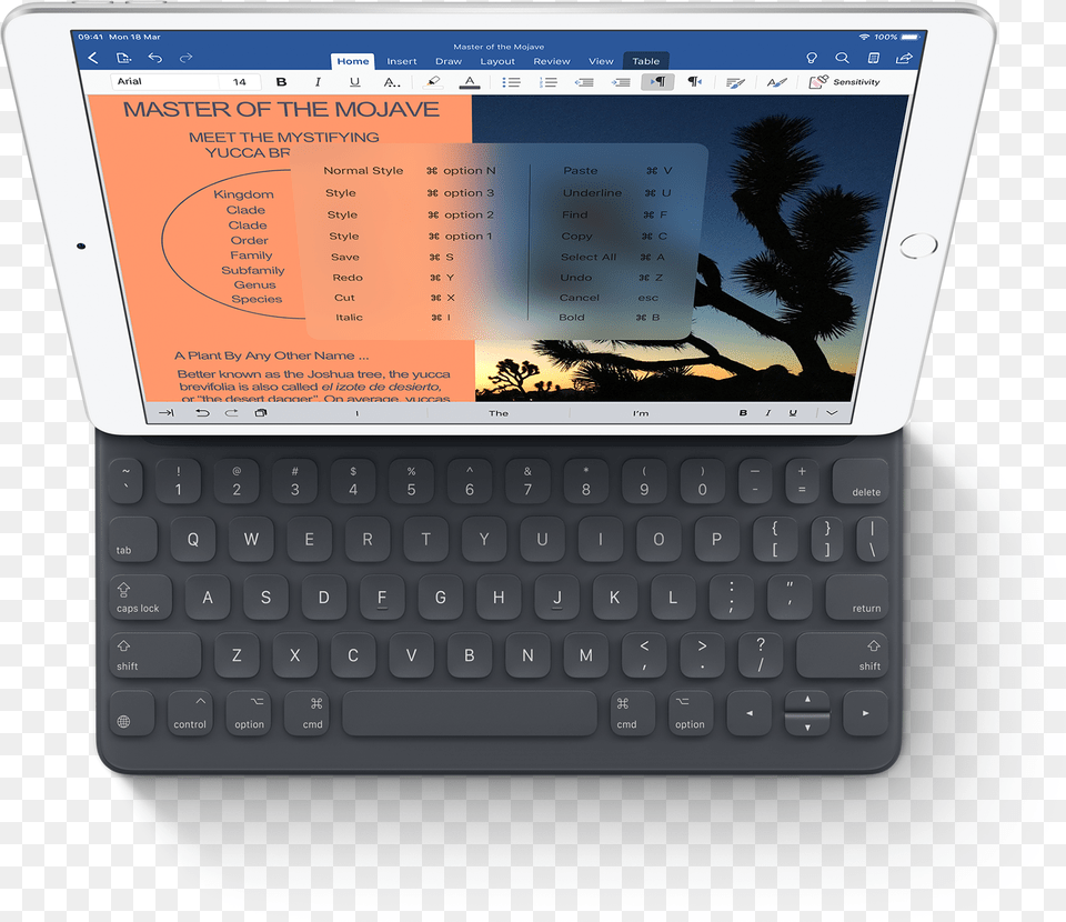 Ipad Air Ipad Air, Computer, Computer Hardware, Computer Keyboard, Electronics Png Image