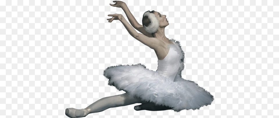 Iperm Opera Ballet Editing Swan Lake Ballerina, Dancing, Person, Leisure Activities, Adult Png