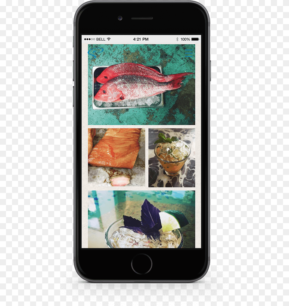 Iphone, Animal, Electronics, Fish, Mobile Phone Free Png