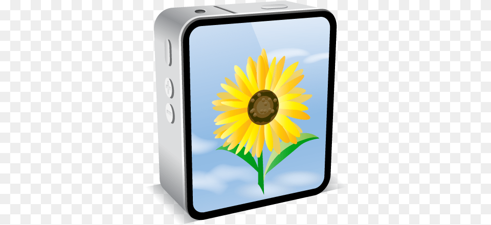 Iphone 4 Black Sunflower Icon Icon, Flower, Plant, Electronics, Phone Free Png