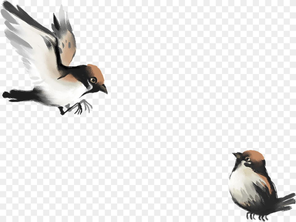 Iphone 6 Bird Painting Drawing Wallpaper Chinese Brush Painting Sparrow, Animal, Finch, Swallow Png Image