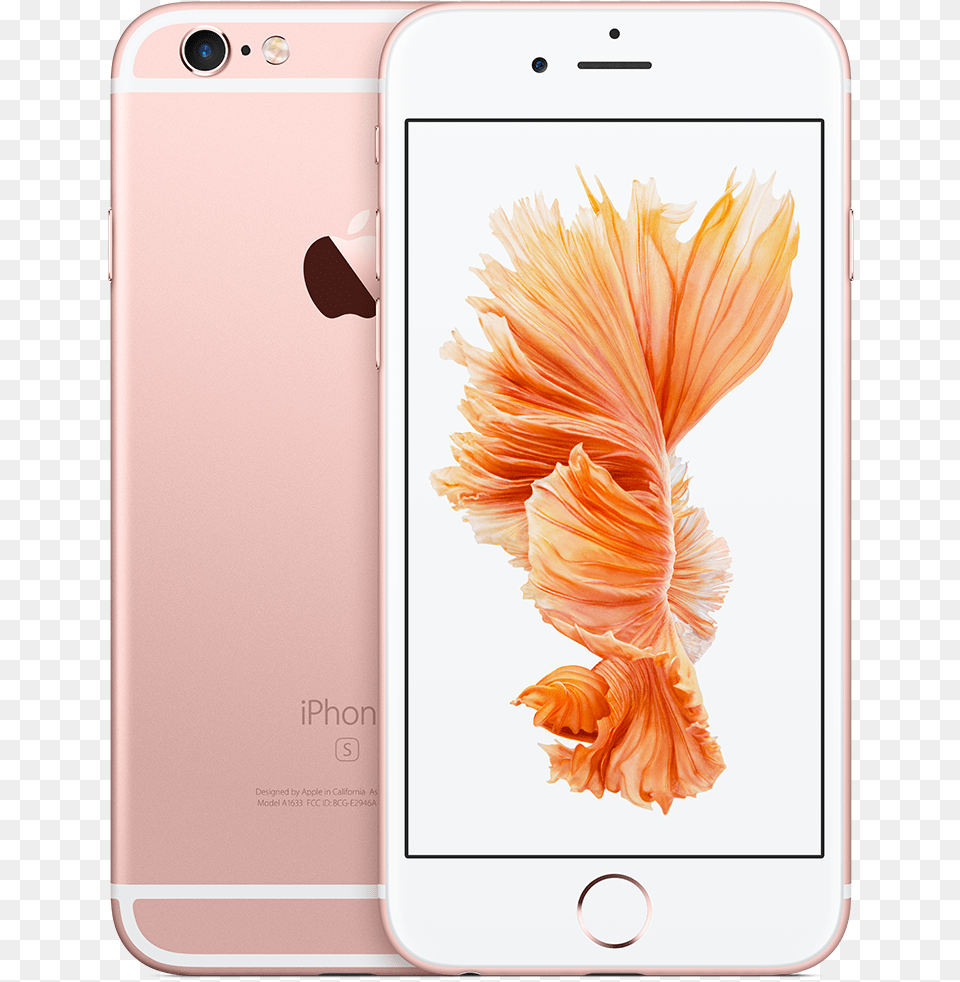 Iphone 6 Gold Rose, Electronics, Mobile Phone, Phone, Animal Png Image