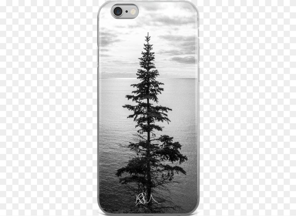 Iphone 6 Plus Dollar Tree Case In Verde Smartphone, Conifer, Fir, Plant, Pine Free Png Download