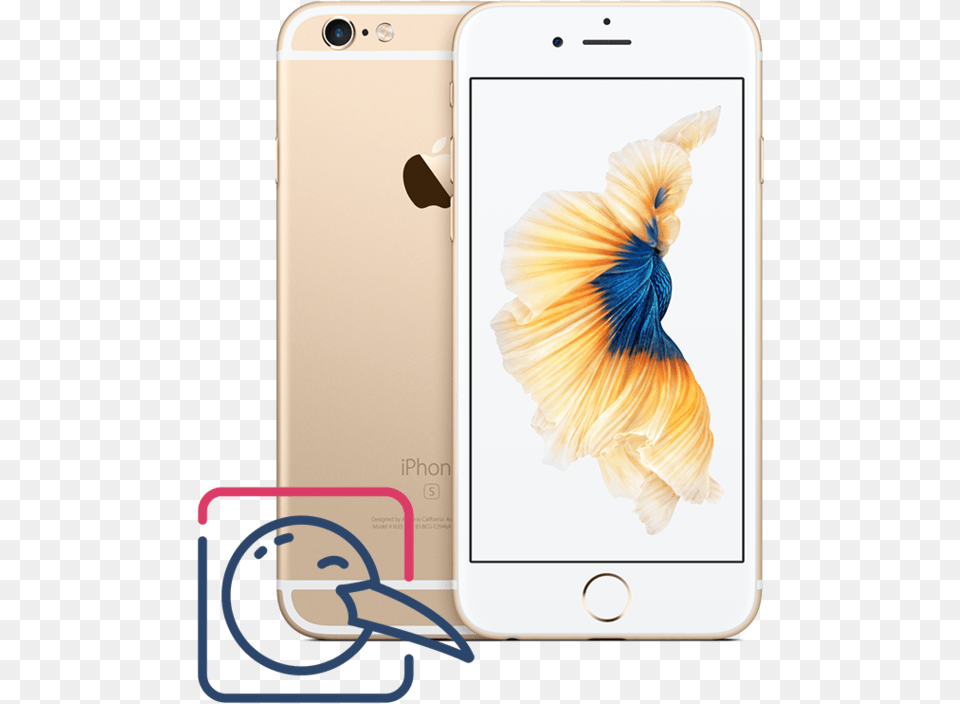 Iphone 6s 16gb Gold Iphone 6s Plus Price In Pakistan, Electronics, Mobile Phone, Phone, Adult Free Png Download