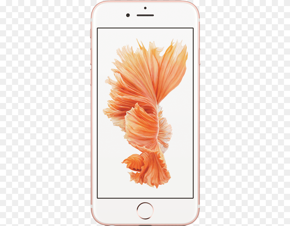 Iphone 6s 32gb Rose Gold, Electronics, Flower, Mobile Phone, Petal Free Png