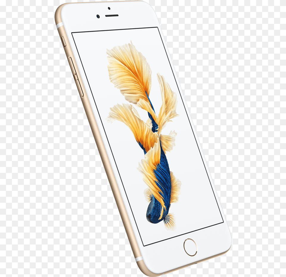 Iphone 6s Back Iphone 6plus 6 Plus Gold, Electronics, Mobile Phone, Phone, Animal Free Png Download