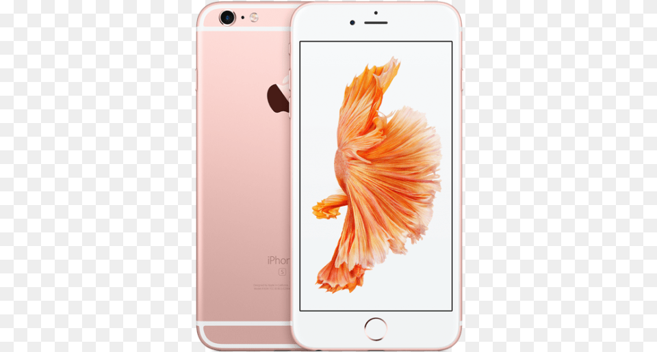 Iphone 6s Plus, Electronics, Mobile Phone, Phone, Animal Free Transparent Png