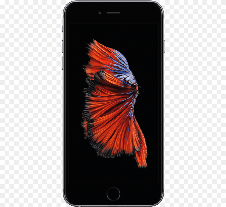Iphone 6s Plus, Electronics, Mobile Phone, Phone, Animal Png Image
