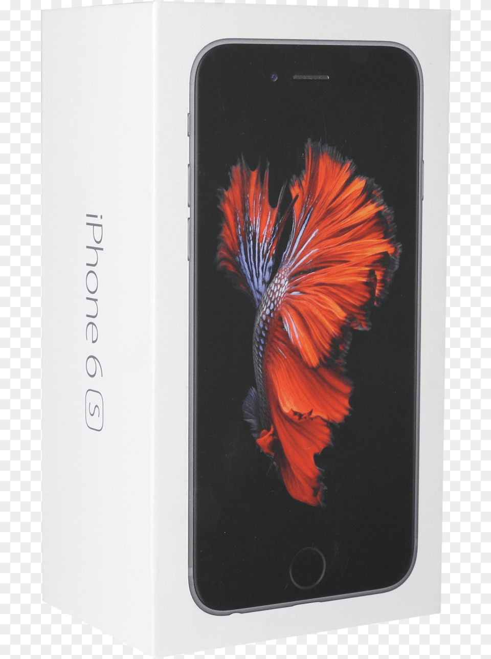 Iphone 6s Price In Lahore Hafeez Center, Electronics, Mobile Phone, Phone, Animal Png Image