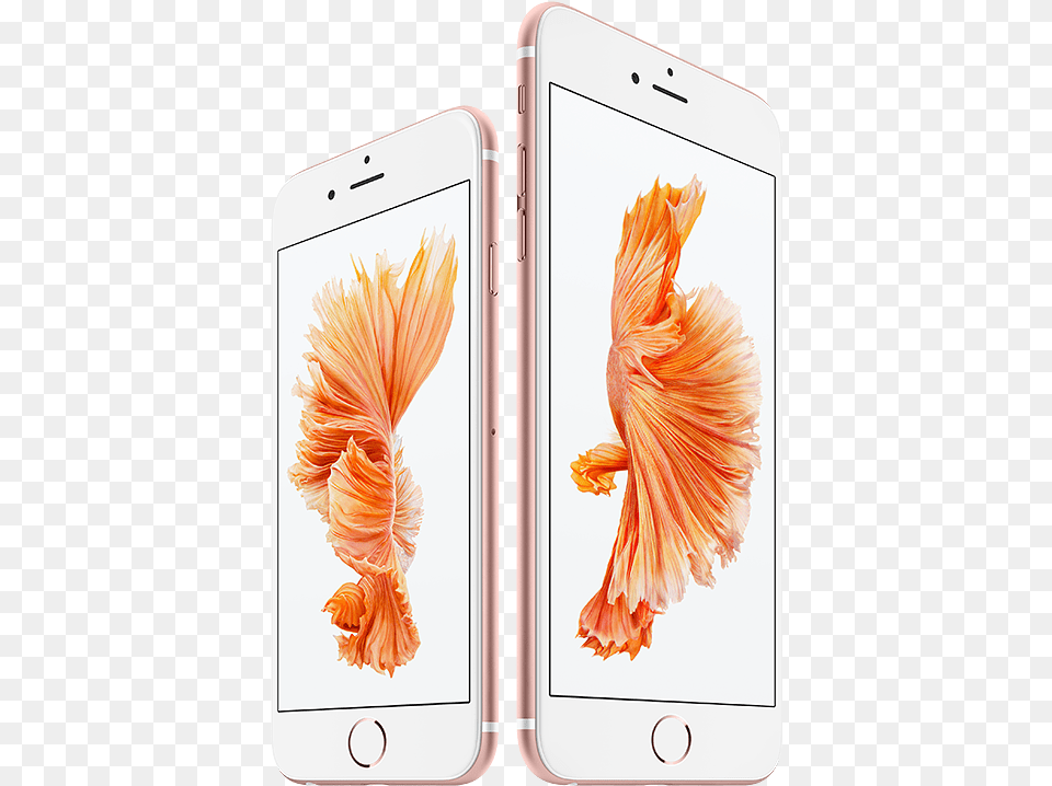 Iphone 6s Price In Malaysia Apple Store, Electronics, Mobile Phone, Phone, Animal Free Png Download