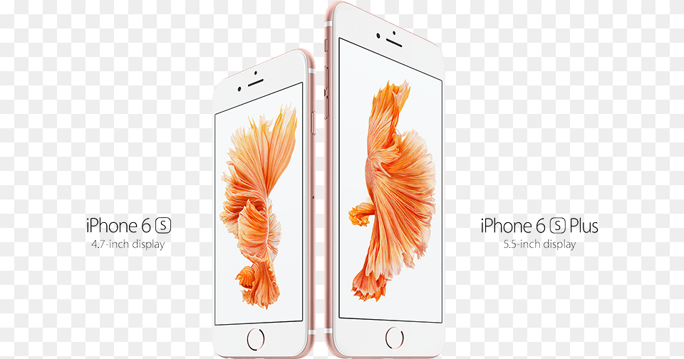 Iphone 6s Rose Gold Iphone 6s Price In Malaysia Apple Store, Electronics, Mobile Phone, Phone, Animal Free Transparent Png