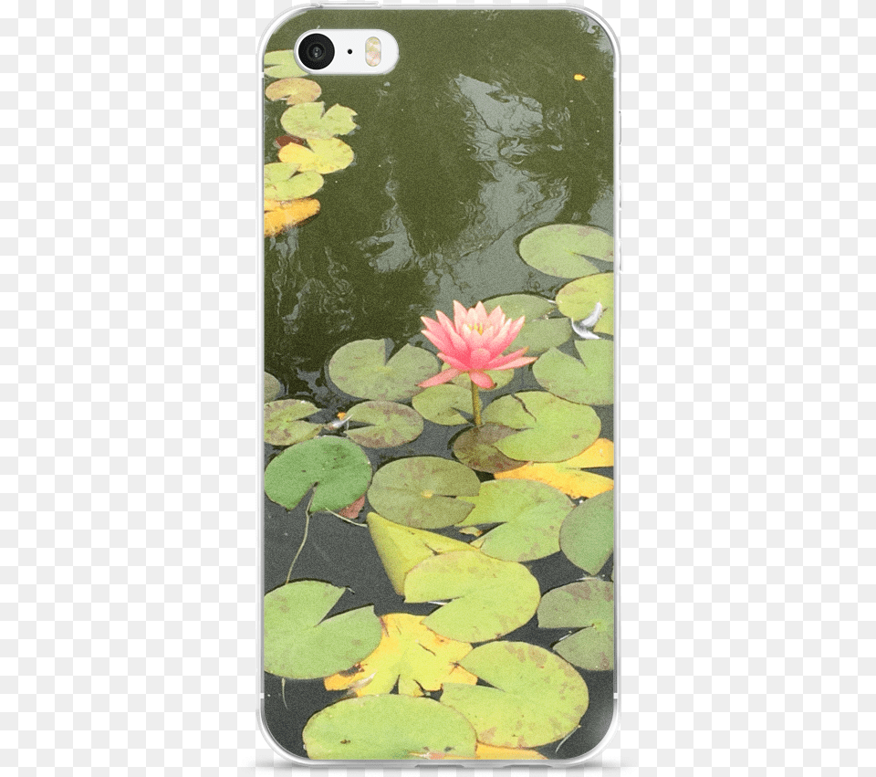 Iphone 7 Lily Pad Sacred Lotus, Flower, Plant, Water, Pond Png Image