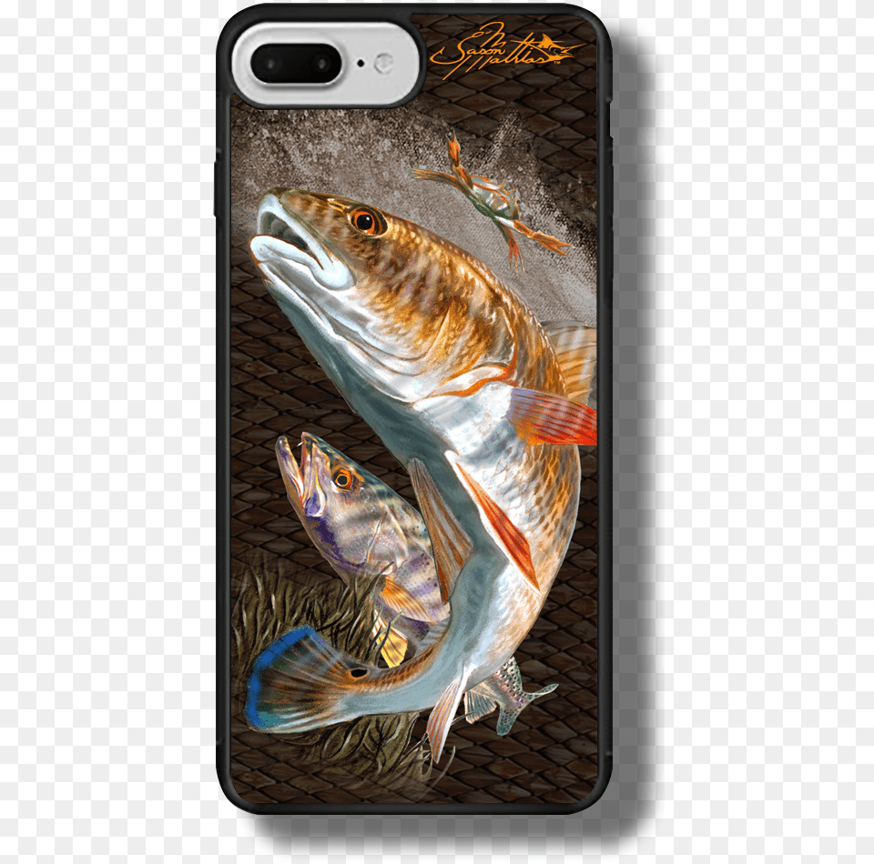 Iphone 7 Plus Case Cover Slim Fit Protective Jason Redfish Phone Case, Aquatic, Water, Animal, Fish Free Transparent Png