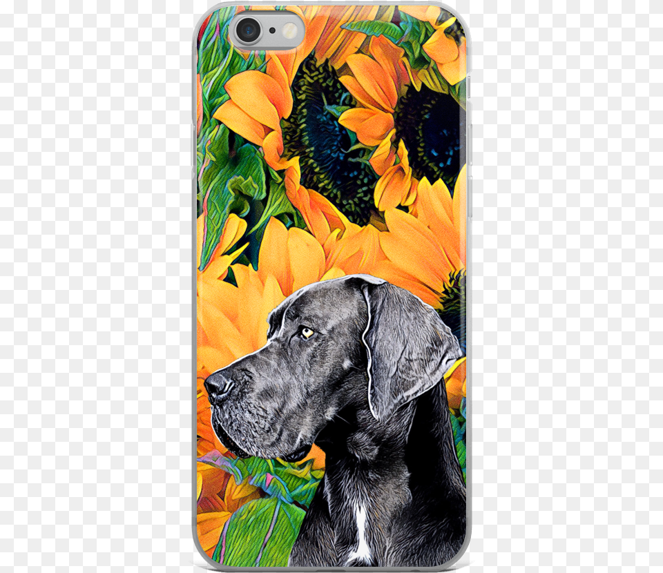 Iphone Case Great Dane Great Dane Coonhound Weimaraner, Animal, Pet, Mammal, Dog Free Transparent Png