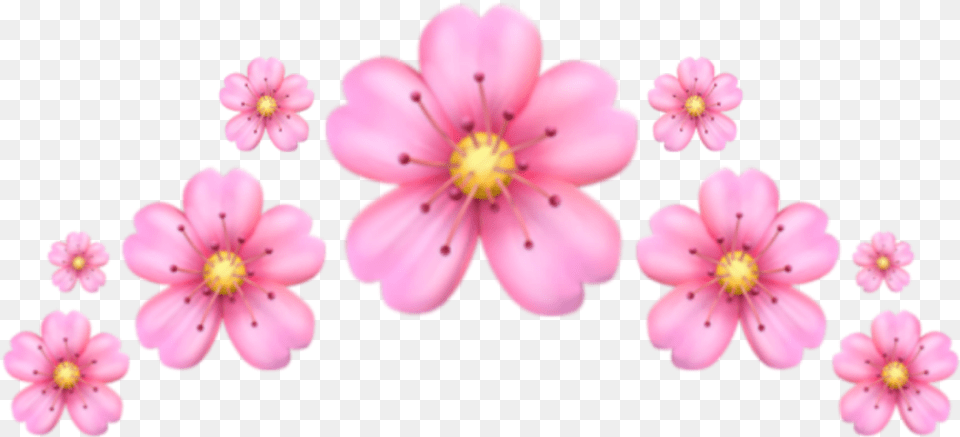 Iphone Emoji Emoticons Pink Flower Emoji, Anther, Geranium, Petal, Plant Free Transparent Png