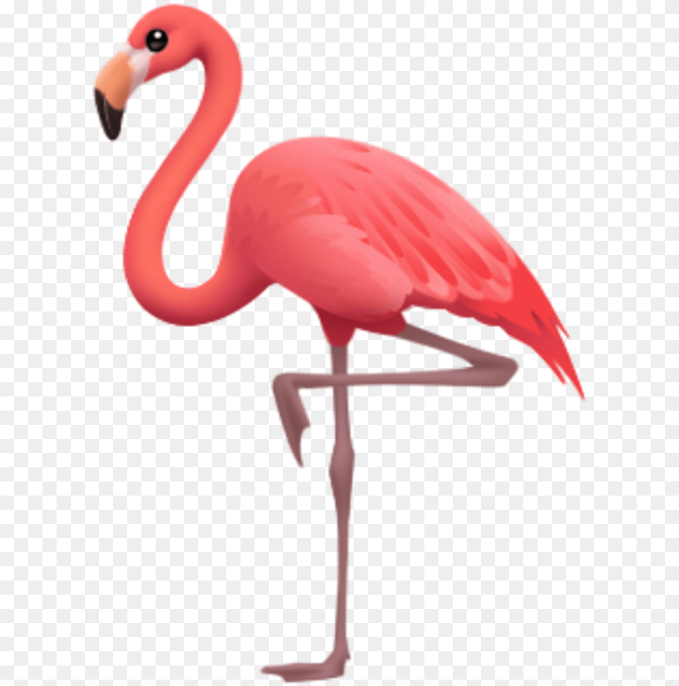 Iphone Flamingo Emoji, Animal, Bird, Person Free Transparent Png