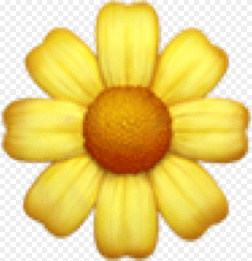 Iphone Flower Emoji, Daisy, Petal, Plant, Anemone Free Png Download