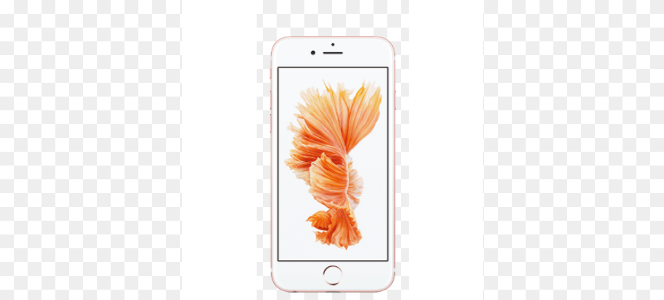 Iphone Rose Gold Sure, Electronics, Mobile Phone, Phone Free Png
