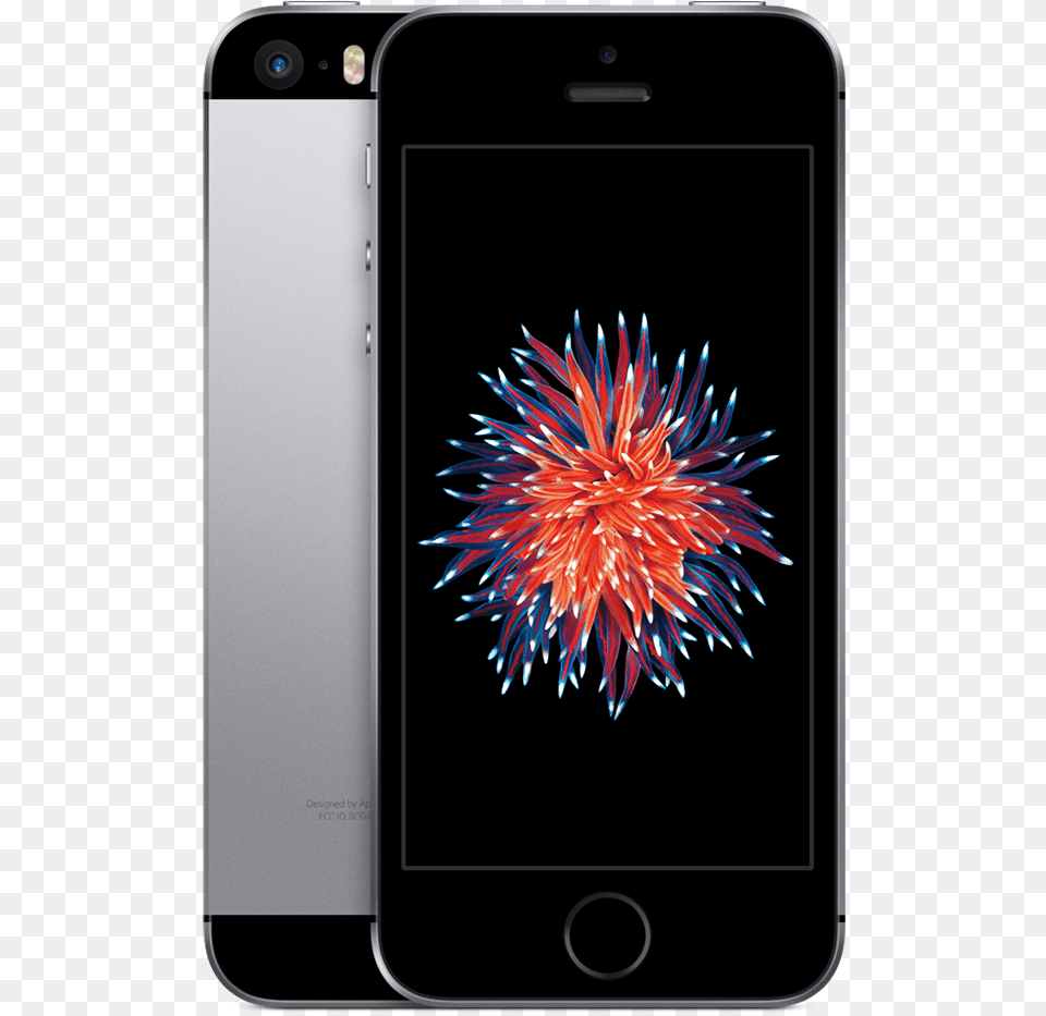 Iphone Se 32gb Space, Electronics, Mobile Phone, Phone, Animal Png Image