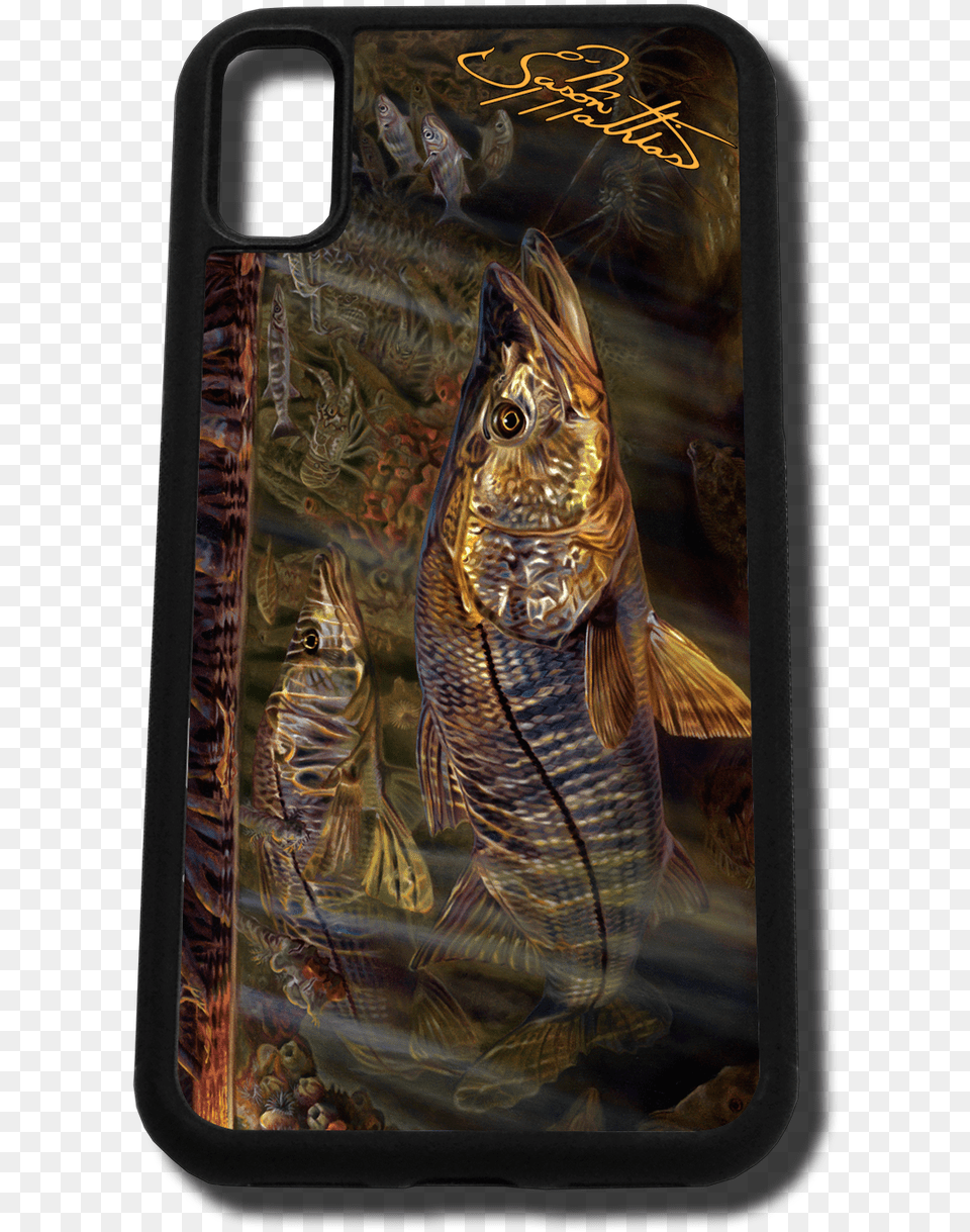 Iphone X Fine Art Phone Case By Artist Jason Mathias Mobile Phone, Animal, Fish, Sea Life, Aquatic Free Transparent Png