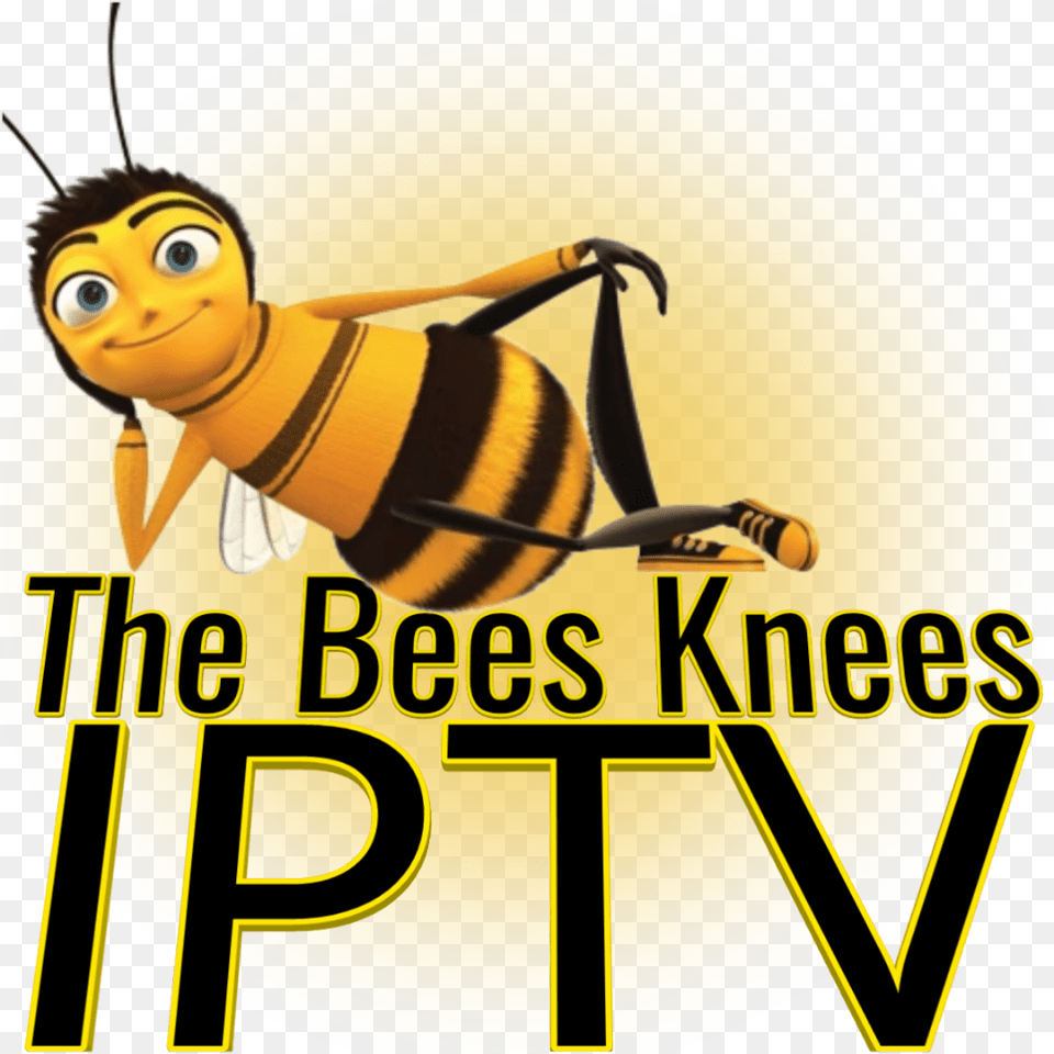 Iptv Streams Fhd Hd M3u Deals Kodi The Best Bees Knees Iptv, Animal, Bee, Honey Bee, Insect Free Png