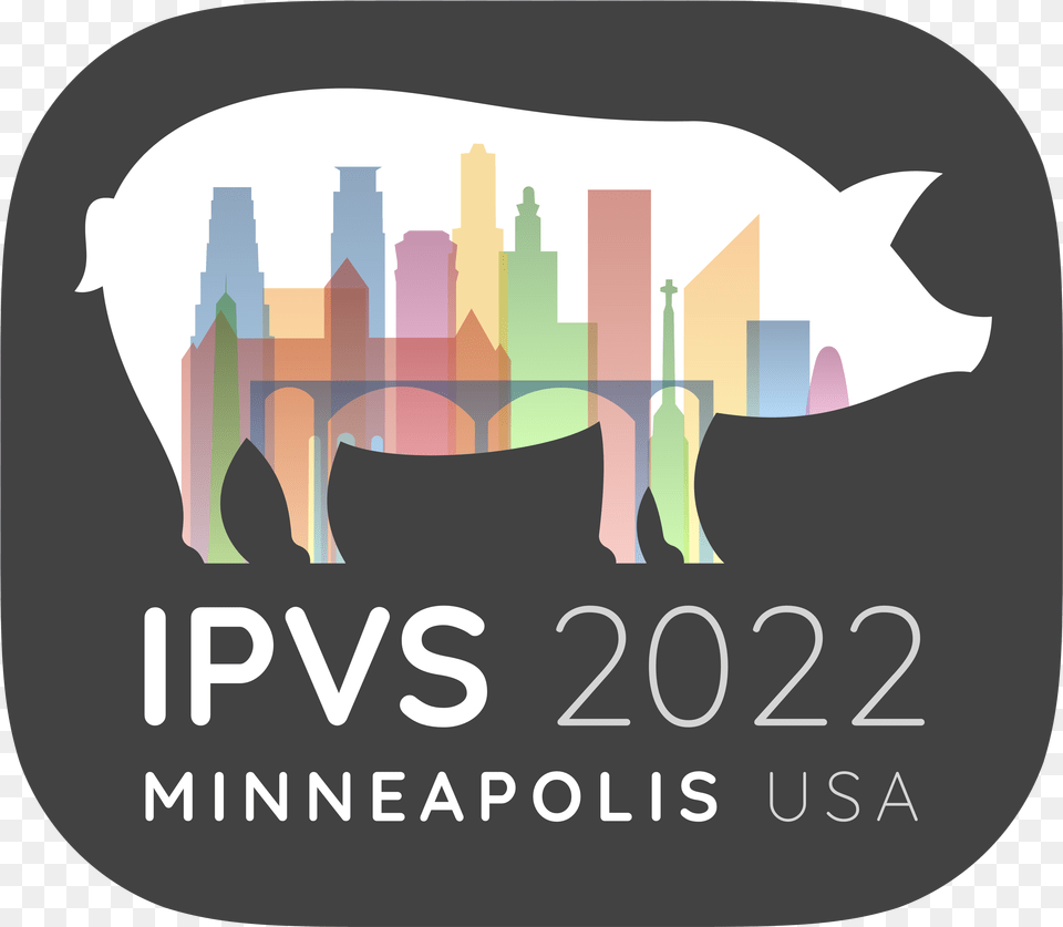 Ipvs 2022 Graphic Design, Animal, Mammal, Pig, Hog Free Png