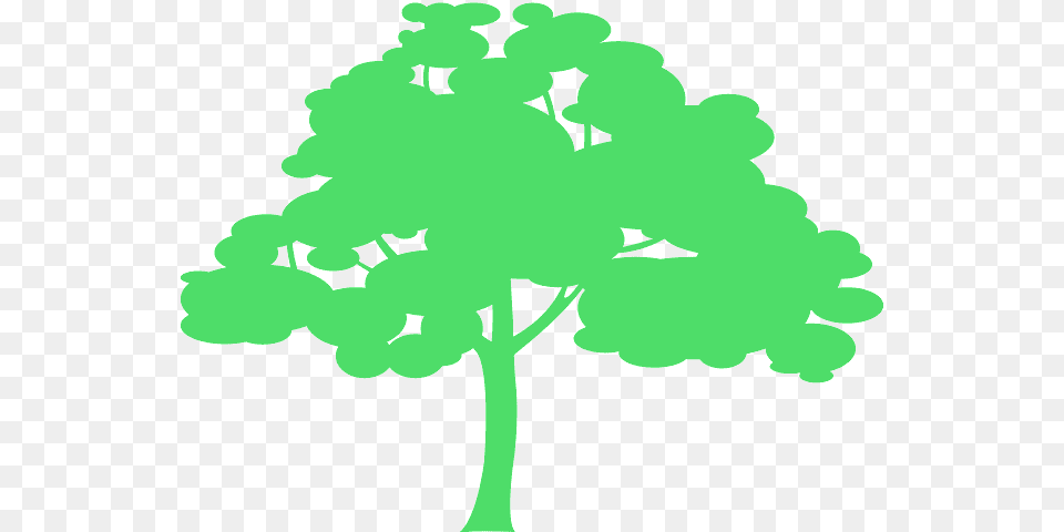 Irange Tree Silhoutte, Plant, Oak, Sycamore, Flower Png Image