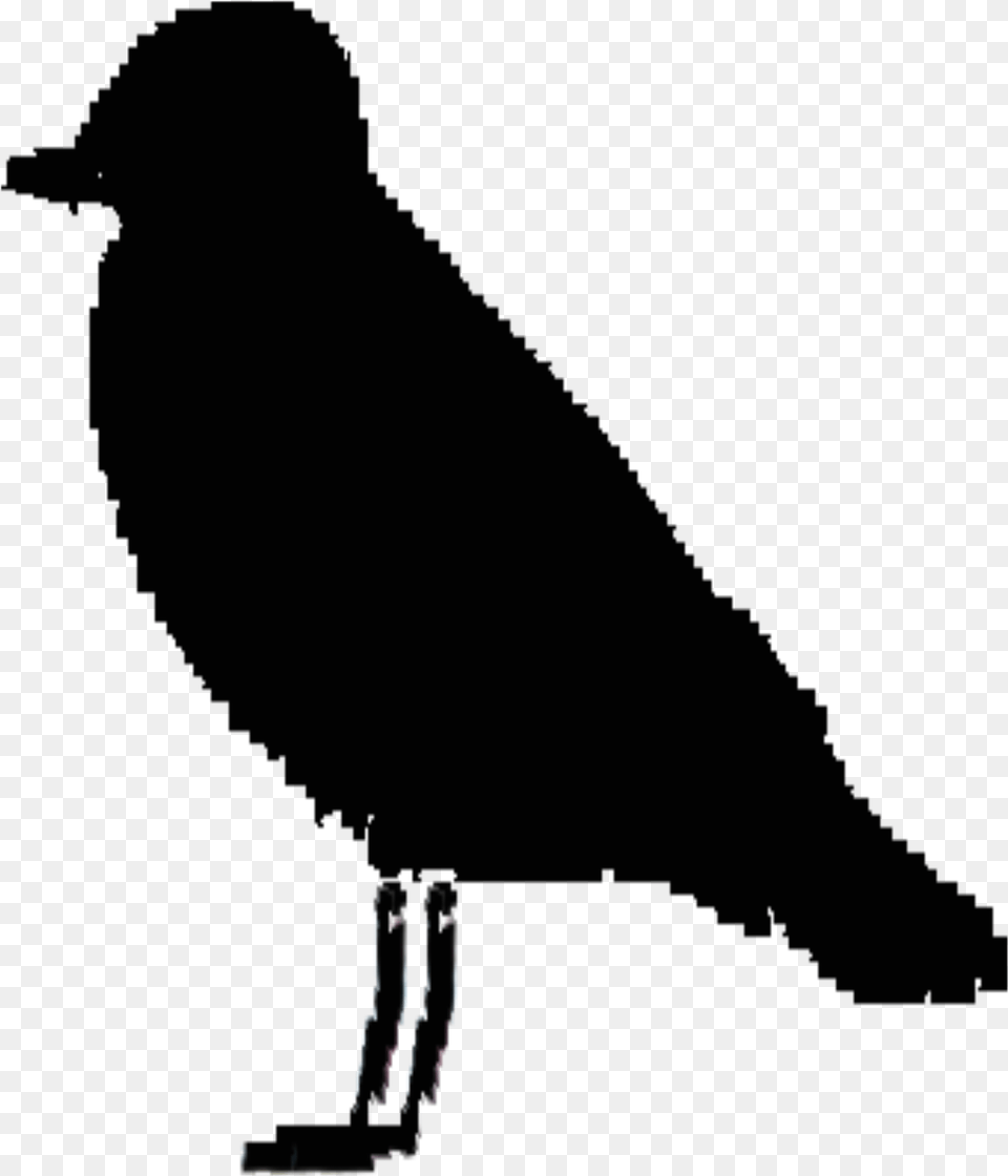 Ireland Bird Silhouette Clip Arts, People, Person, Outdoors Free Png Download