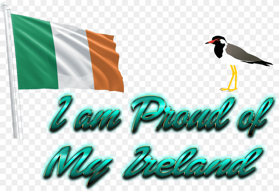 Ireland Flag Seabird, Animal, Bird, Ireland Flag Free Transparent Png