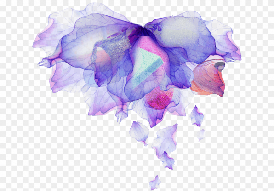 Iris, Flower, Petal, Plant, Purple Free Png Download