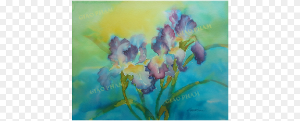 Iris, Art, Painting, Modern Art, Flower Free Png