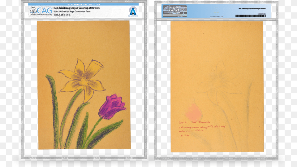 Iris, Art, Painting, Plant, Floral Design Free Png Download
