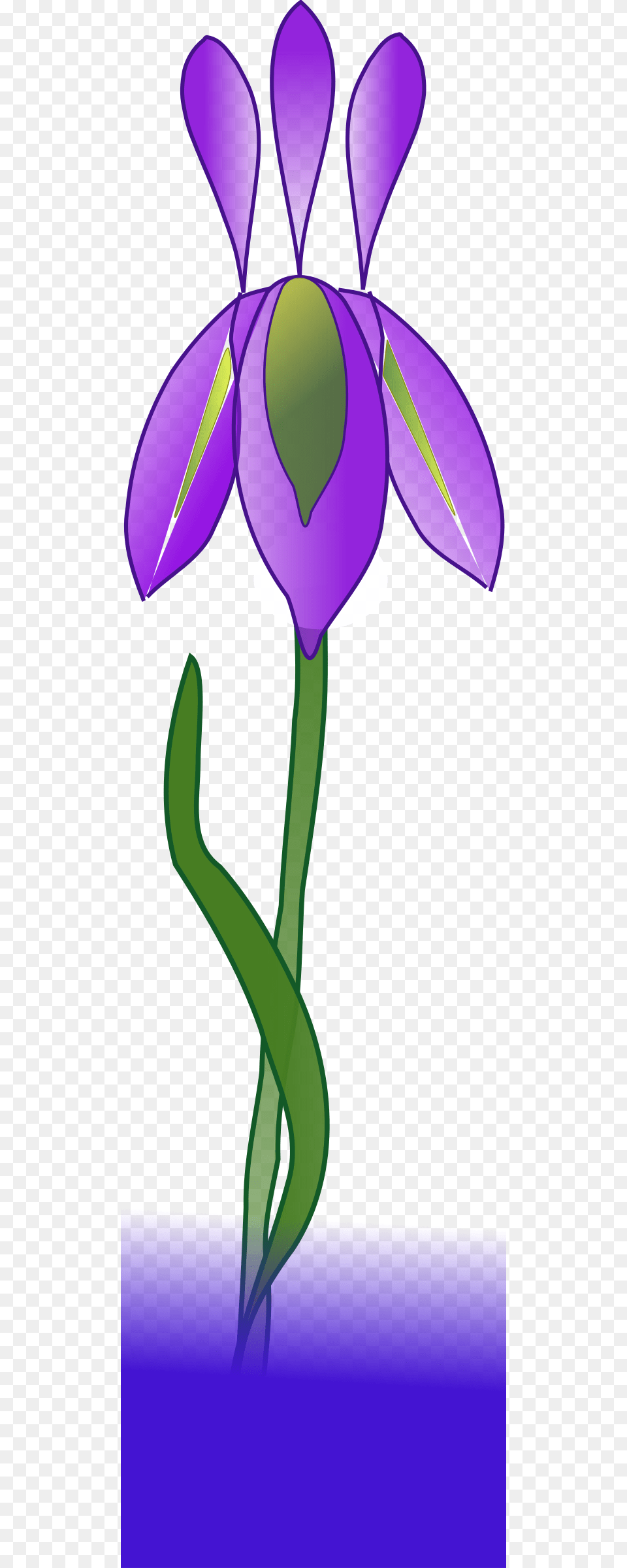Iris, Flower, Plant, Purple, Petal Png Image