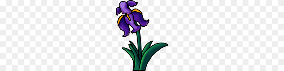 Iris Clip Art, Flower, Plant, Purple, Person Png